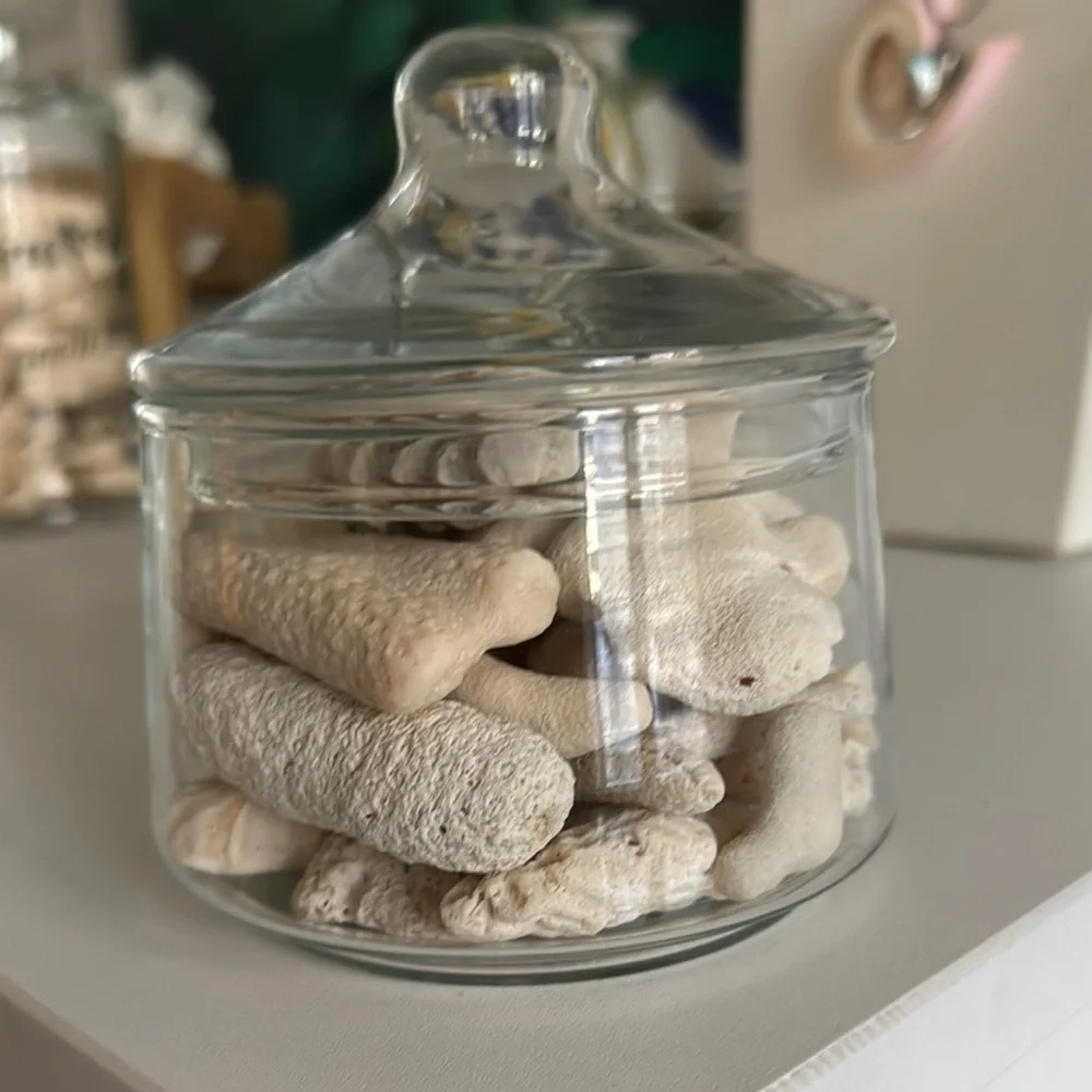 Coral Pieces in Small Apothecary Jar